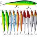 Sougayilang Fishing Lures Large Hard Bait Minnow VIB Lure with Treble Hook Life-Like Swimbait Fishing Bait Popper Crankbait Vibe Sinking Lure for Bass Trout Walleye Redfish (Type 3-10PCS)