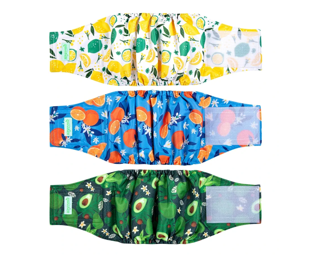 wegreeco Washable Male Dog Belly Band (Stylish Pattern)- Pack of 3 - Washable Male Dog Belly Wrap, Dog Diapers Male (Fruit, X-Small)