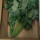 DECHOUS Faux Roses Bulk Flower Picks Wire Floral Wire Leaves for DIY Handmade Arrangements