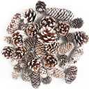 JOHOUSE 40PCS Snow Pinecones for Decorating, Natural Pine Cones for Crafts Vase Filler Christmas Tree Winter Holiday Hanging Ornaments