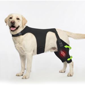 Dog Knee Braces for Back Leg, Adjustable Leg Brace with 2 Stabilizers, Hip Support to Reduces Pain, Ligament Injuries, ACL CCL & Luxating Patella for Small Medium Large Dogs, L-L