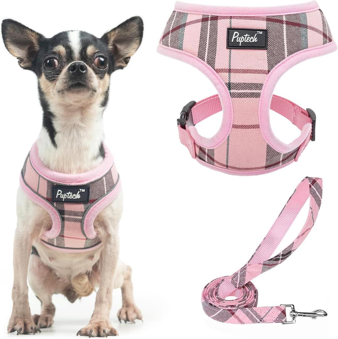 PUPTECK Soft Mesh Dog Harness and Leash Set Pet Puppy Cat Comfort Padded Vest No Pull Harnesses, Light Pink, XS (XS (NECK: 10", CHEST: 10"-14"))