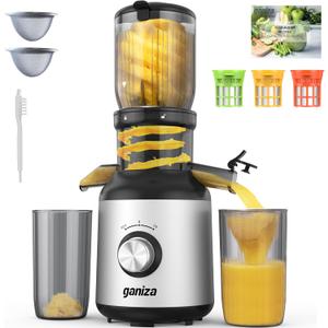 Ganiza Juicer Machines, Slow Masticating Juicers with Large Feed Chute for Whole Fruits & Vegetables, Cold Press Juicer with 3 Replace Filters for Batch Juicing, Easy to Clean, BPA Free(Silver)