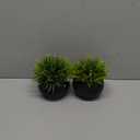 SEEKO Succulents Artificial Plants (2 Pack) Indoor Fake Desk Plants for Shelf Decor (2 pk, Black)