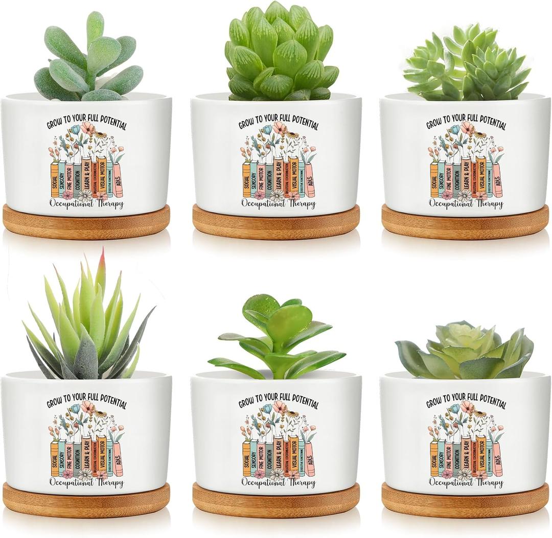 Havawish 6 Pcs Occupational Therapy Gifts for Therapist, Ot Month Ceramic Succulent Planter Pots Mini Porcelain Plant Containers Funny Occupational Therapy Gift for Women Men, Plants Excluded