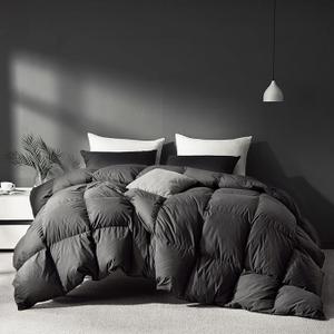 Grey Goose Feather Down Comforter Queen Size, Premium All Season Duvet Insert, 750+ Fill Power 1200TC Cotton Blend Fabric Hotel Style Comforter, 42 Oz Lightweight (90x90, Dark Grey)