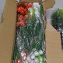 TURNMEON 20 Bundles Artificial Flowers for Outdoors, Summer Spring Grass Camellia Fake Flowers Fern Plants Eucalyptus UV Resistant No Fade Greenery for Garden Porch Indoor Cemetery Decor(Mix 6 Styles)