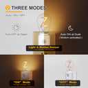 3 x LUMILECT Motion Sensor Night Light, LED Night Lights Plug into Wall, 10-100LM Dimmable Night Light P-Type for Hallway, Stairs, Bedroom, Garage, Bathroom, 2200K Amber, 1-Pack