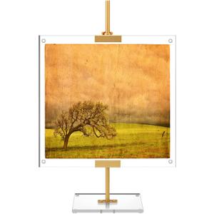 RattanView Gold Adjustable Metal Easel Stand with Acrylic Floating Photo Frame 16.5" Tabletop Metal Standing Easel Display Stand for Display Picture, Frame, Photos, Art, Poster, Signs