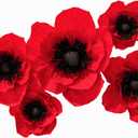 Crepe Paper Flowers Decoration for Wall, Artificial Flowers for Wedding Decor,Flower Backdrop Decor,Baby Shower,Birthday Party,Photo Backdrop,Archway Decor, Nursery Wall Decor (Red;Set/5)