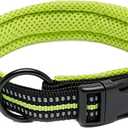 Truelove Dog Collar Reflective Premium Duraflex Buckle,High Grade Nylon Webbing No Choke Basic Collars TLC5011(Neon Yellow,S)
