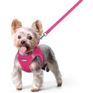 rabbitgoo Dog Harness Small Sized and Leash Set, Step in Soft Light Puppy Vest, Breathable Mesh Pet Harness, Reflective for Safe Easy Walking, Rose Red XS (XS (Chest: 13.3 - 15.5"))