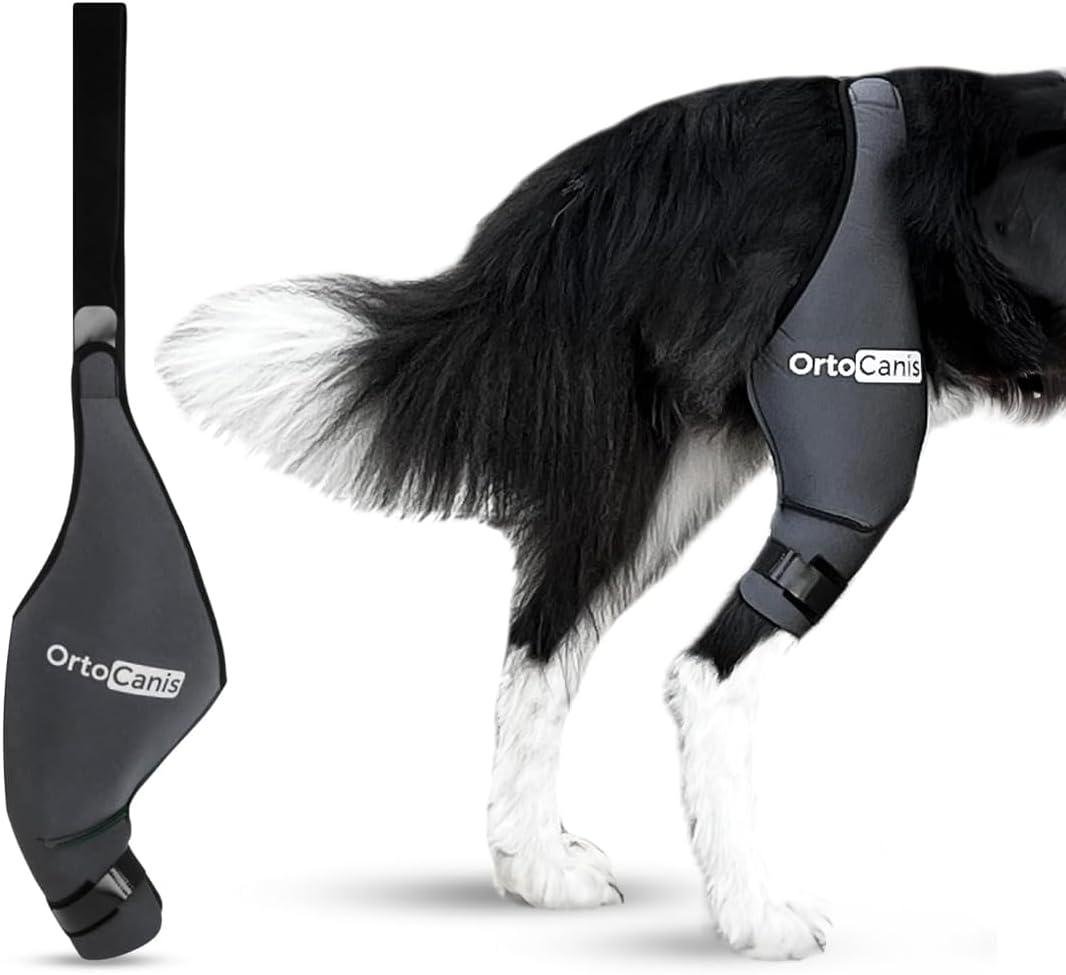 Ortocanis Dog Knee Brace for Torn Acl Hind Leg, Cruciate Ligament Injuries, Patella Dislocation or Osteoarthritis - Dog Acl Knee Brace - Dog Braces for Back Leg for Support (Large, Right Leg)