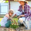 10 Pack Plant Protectors from Animals, 13.5" Dia X 14" H Wire Plant Protector Cage, 30pcs Metal Mesh Garden Cloches to Keep Rabbits, Squirrels and Chicken Out and Protection Vegetables Flowers Shrubs