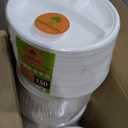 Bagasseware Biodegradable  3c Dine Ware 600 10" Plates