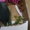 Purple Orchid Artificial Flowers Indoor Large Faux Orchids in Pot Phalaenopsis Flowers Arrangement Fake Flowers Dining Table Decor Centerpiece Bathroom Plants Home Decoration