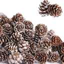 Deloky 150 Pcs Christmas Natural Mini Pine Cones- 1" Small Christmas Snow Pinecones Ornaments- Thanksgiving Mini Snow Pinecones for DIY Crafts Vase Fillers Fall Winter Home Christmas Tree Decor