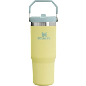 Stanley IceFlow Flip Straw Tumbler with Handle 30 oz | Twist On Lid and Flip Up Straw | Leak Resistant Water Bottle | Insulated Stainless Steel |BPA-Free | Pomelo