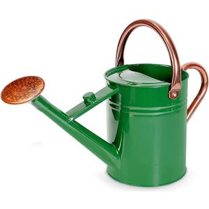 1 Gallon Metal Watering Can with Removable Spout, Nice Galvanized Steel Water Can for Indoor and Outdoor Plants (House Plants)
