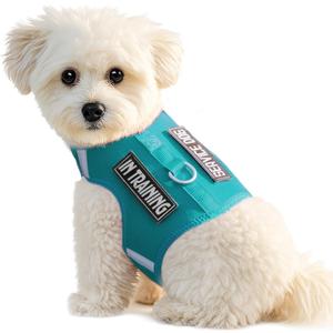 Dog Harness for Puppy  Adjustable Reflective Easy Put On Soft Mesh Vest for Small Dogs with 2 Patches (MARRS Green,S) (S(Neck:10.5-13.6",Chest:14.8-19.1"))