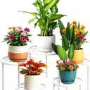 5 Pack Metal Plant Stands,Heavy Duty Potted Holder for Flower Pot, Rustproof Iron Plant Risers, Suitable for Indoor and Outdoor Decoration ,Garden Container Round Supports Rack for Planter