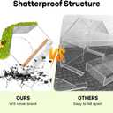 Clear Window Bird Feeder with 4 Strong Suction Cups & Decorative Lawn Top - Ideal for Garden/Yard Decor, Elderly & Kids Bird Watching, Unique Gift for Nature Lovers (Transparent&Green)