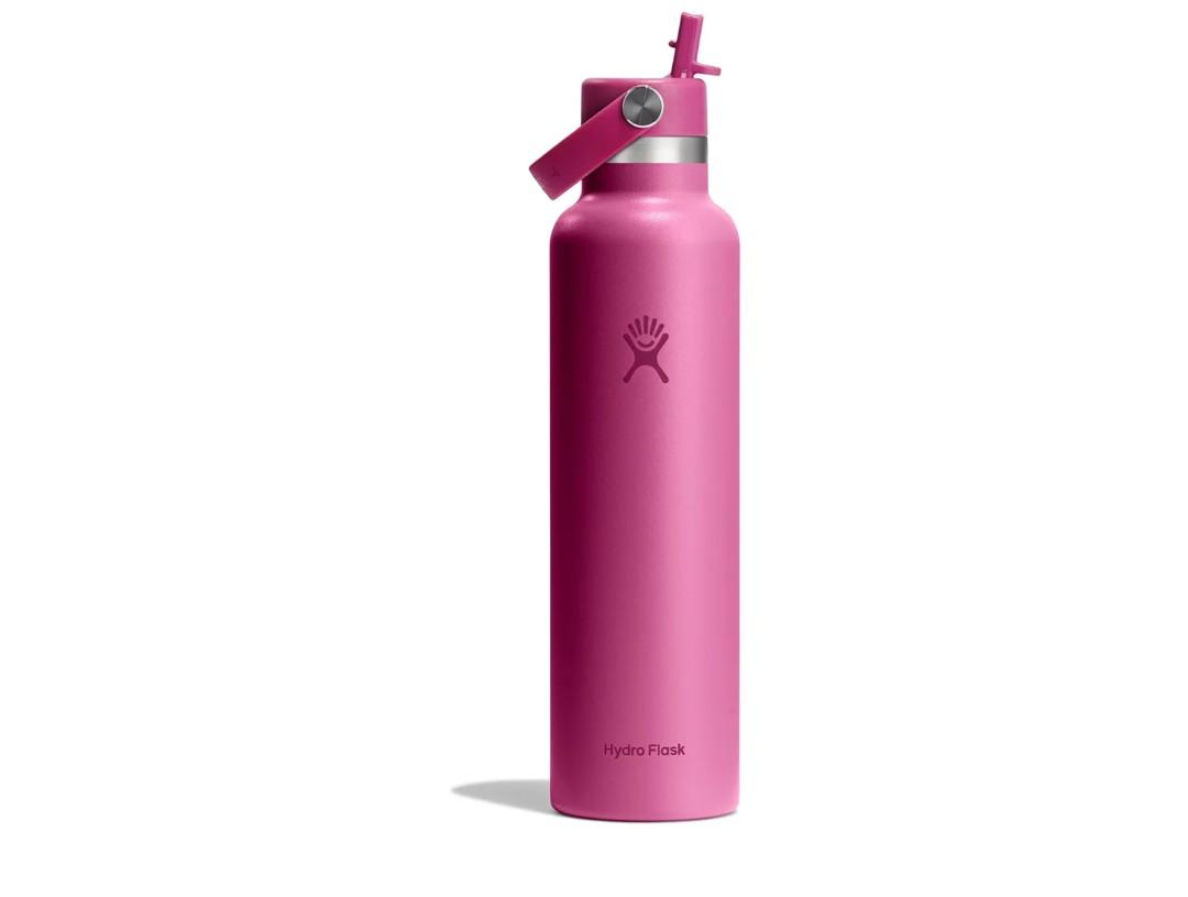 Hydro Flask Water Bottle - Insulated Stainless Steel - Straw Lid, Non Spill, Leakproof 24 Oz Reef Pink
