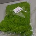 Aspamms Fake Green Moss for Potted Plants Indoor, 5.3oz Artificial Moss for Crafts, Faux Moss Decor for Fairy Garden, DIY Decorative, Model Making, Walls, Glass Containers, Home