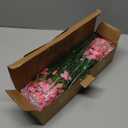 ColoPlay 24 Peach Bundles Artificial Flowers for Outdoors/Indoors Fake Flowers Plants for Indoor Outside Garden Porch Window Box Home Wedding Farmhouse