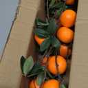 Woration 4PCS Artificial Orange Branches Simulation Tangerine Plastic Tree Plant Stem with Fruit Fake Greenery Home DIY Dcor Props 19.3inch