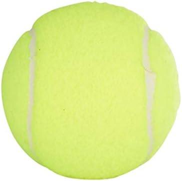 Penn Championship Tennis Balls - Extra Duty Felt Pressurized Tennis Balls 12 Total Count(Pack of 4)