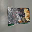 Batman: 80 Years of the Bat Family, Paperback
