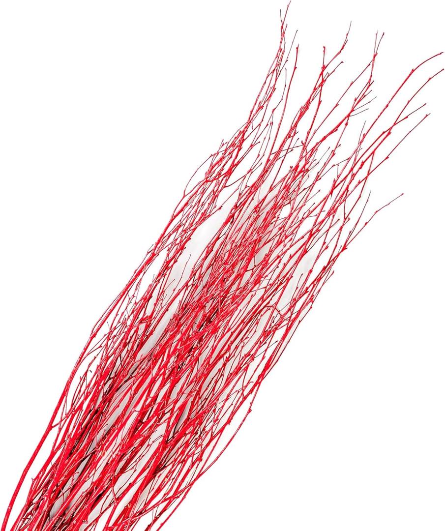 Branches for Vase, 3'4' Natural Birch Tree Branches for Decoration, Bundle of 10 Tall Decorative Sticks for Vases, Rustic Wood Branches for Crafts, Weddings, Seasonal & Home Dcor - Red