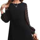 SweatyRocks Women's Elegant Mesh Contrast Long Sleeve A Line Mini Short Dress
M