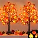 2 Pack 24 Inch Prelit Fall Maple Tree Decor with 48 LED Timer Fall Thanksgiving Decorations Battery Operated Lighted Pumpkin Acorn Maple Artificial Tabletop Tree Thanksgiving Table Decor Home Indoor