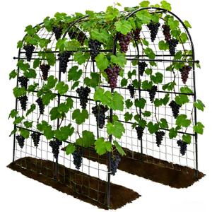 Garden Arch Trellis for Climbing Plants Outdoor - 83" H*71" W*43" L Large Rustproof Garden Trellis, Heavy Duty Grape Trellis, Tunnel Trellis for Melons, Pumpkins, Cucumbers, Peas(Black)