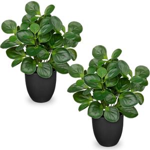 14.5" Artificial Plants Indoor Home Decor, Fake Potted Silk Plants for Shelves Living Room Decor, Small Artificial Office Desk Plants in Pots, Faux Peperomia Hope Tropical House Plant, Sets of 2