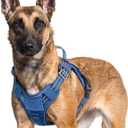 rabbitgoo Dog Harness for Large Dogs No Pull, Tactical Service Pet Vest with Molle and Control Handle, Adjustable and Reflective Military Harness for Easy Walking and Training, Blue, XL