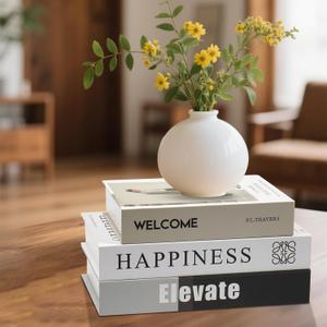 Aesthetic Decorative Books - Set of 3 Faux Book Boxes for Home Decor - Stylish Fake Books for Coffee Table, Bookshelf & Mantle - Modern Keepsake Box with Photo Storage Idea