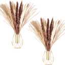 Otoolling 2 Pcs Boho Wall Decor Metal Wall Art Hanging Planter with Artificial Pampas Wall-mounted Modern Home Decor Display Artwork Plant Hanging Vase for Bedroom Living Room Kitchen Bathroom (Gold)