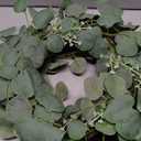 11" Eucalyptus Wreath, Year Round Wreaths for Front Door, Spring Summer Wreath with Green Faux Eucalyptus, All Seasons Evergreen Decor for Inside Farmhouse Festival Celebration Party. 2 PC