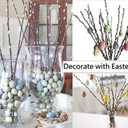 20PCS Real Dried PussyWillow Branches Tall 27 Inches Natural Decorative Branches with White Buds Long Birch Stems for Vase Spring Easter Home Decor