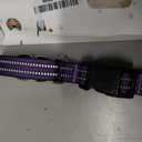 Martingale Collar for Dogs,Reflective Escape Proof,Purple,M