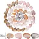2 x PPCLION 50pcs Tiny Strarfish&2000Pcs Tiny Mini Small Clam Sea Shells for Crafting Spiral for Crafts Charms Home Decorations Candle Decor DIY Fish Tank and Beach Vase Filler