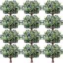 Janinka Mixed Eucalyptus Leaves Stems Bulk with White Seeds Artificial Silver Dollar Leaves Sprays Faux Oval for Wreath Garland Floral Bouquets Arrangement Wedding Greenery Decoration(70)