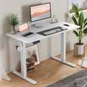 Electric Adjustable Height Standing Desk - 40 x 24 inch Sit to Stand Up Desk with Splice Board, Rising Home Office Computer Table with 2 Hook and Wire Hole for Work (40 x24 Inch, White1)