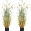 Jexine 2 Pcs 4 ft Fall Setaria Grass Plants in Pots