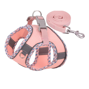 Petank Dog Harness for Small Medium Dogs No Pull, Puppy Harness and Leash Set, Step in Dog Harness for Walking, Running, Training, Small Dog Vest, Medium Dog Vest (Pink, M)