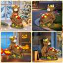 TEDOF Solar Highland Cow Statue with Flower Decor, Funny Outdoor Garden Ornament for Yard Patio Lawn, Birthday Gift for Women Mom