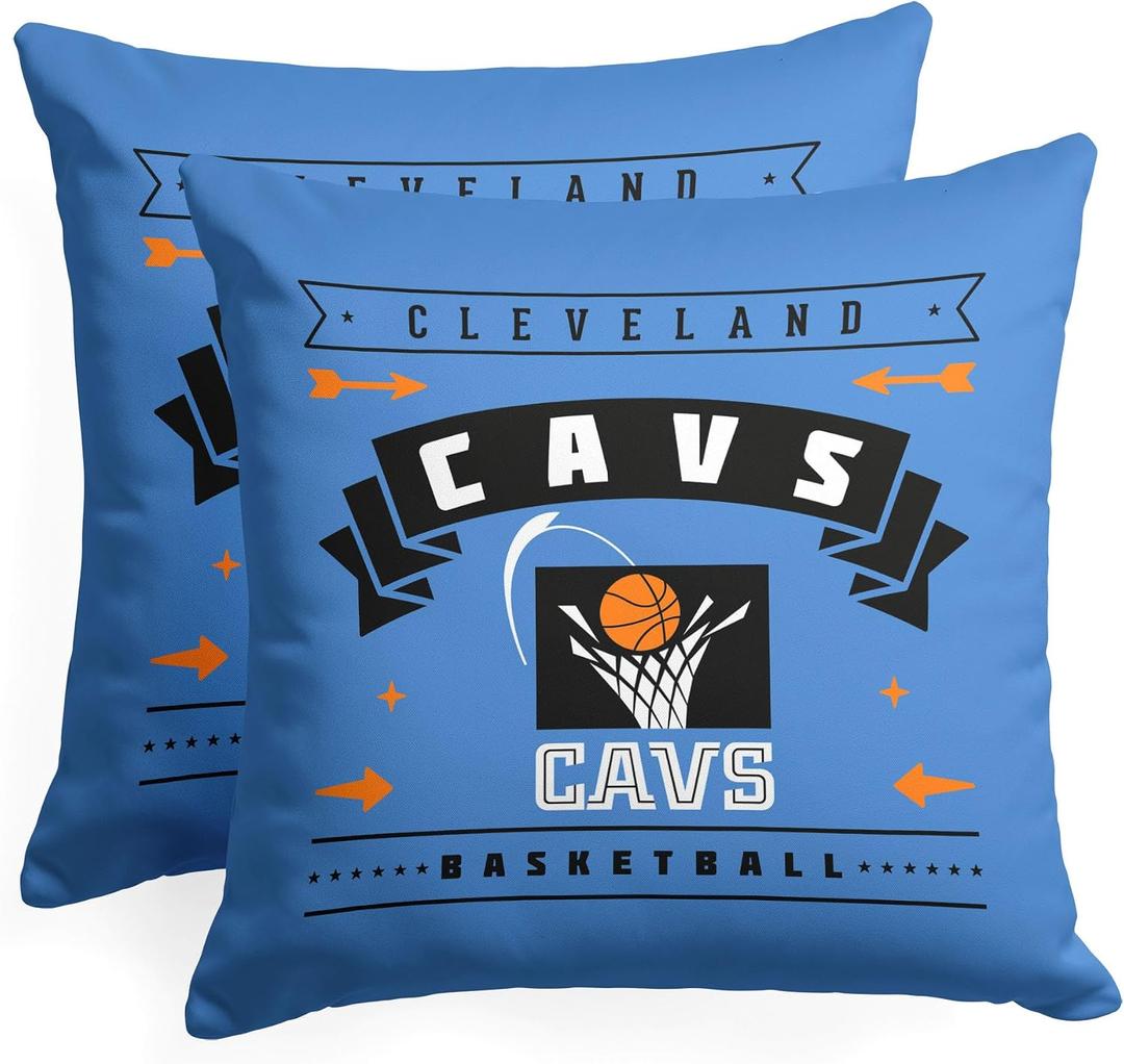 Northwest Pillow 18inch 2 Packs